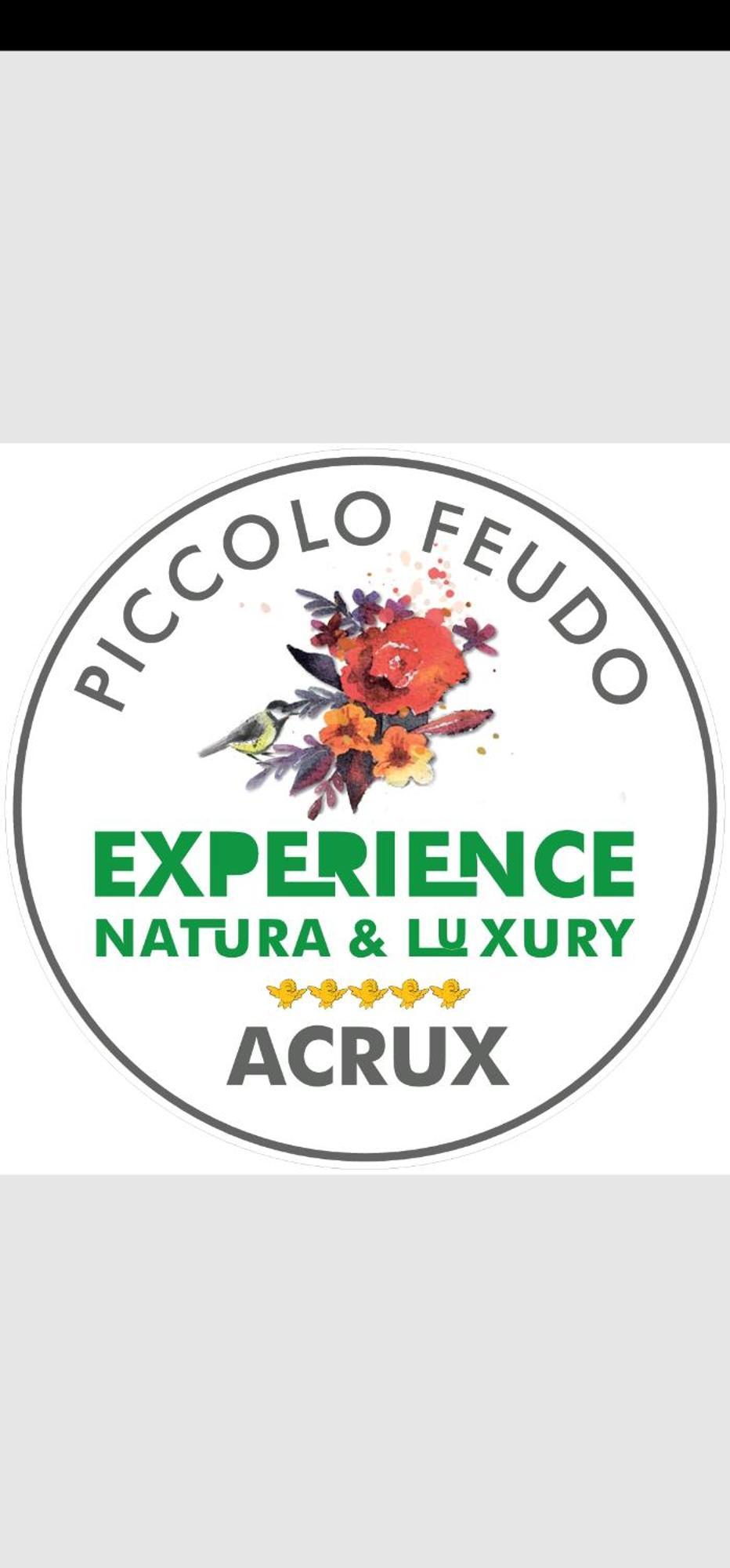 Piccolo Feudo Green Resort (Adults Only) Вітербо Номер фото