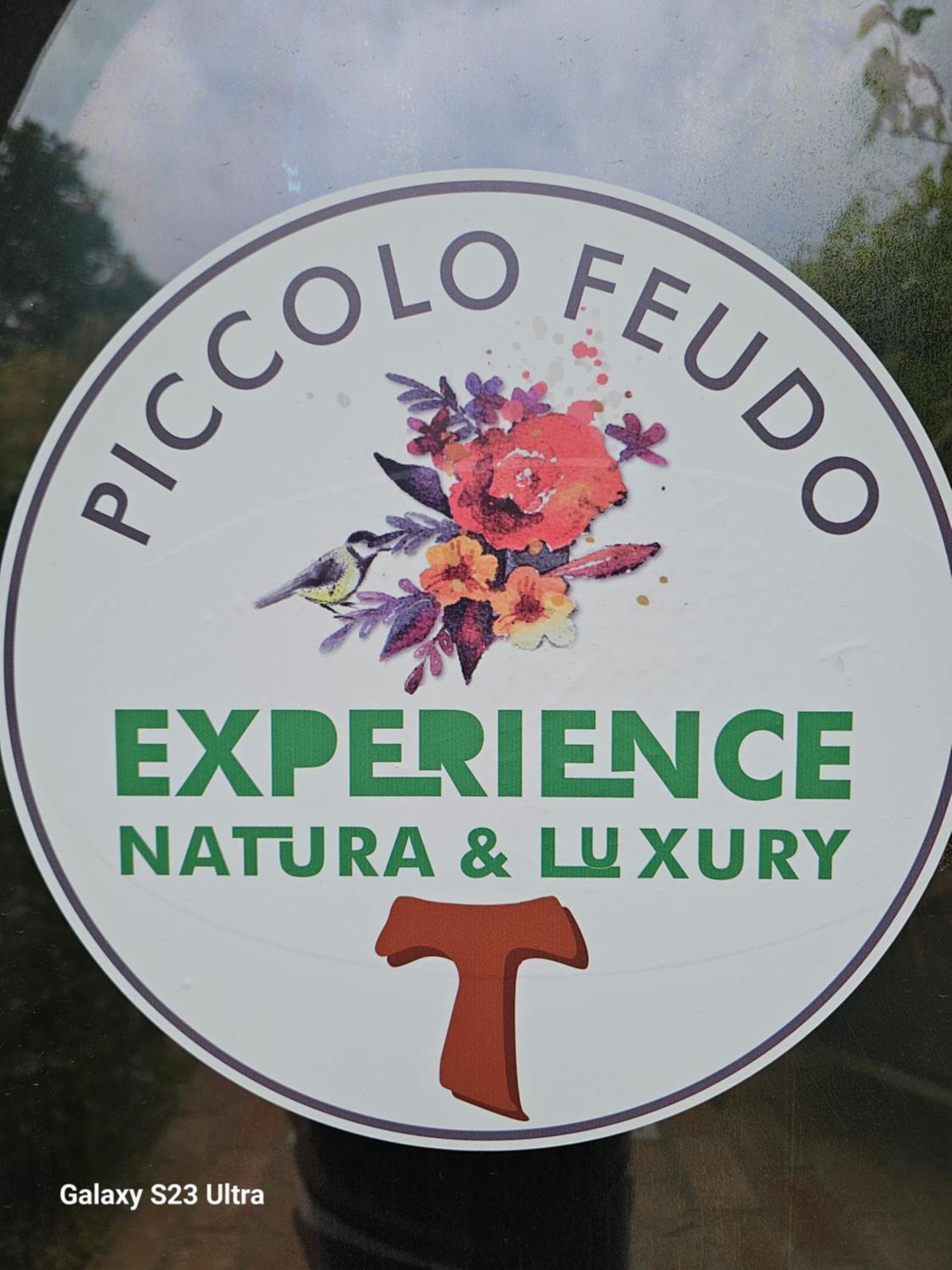 Piccolo Feudo Green Resort (Adults Only) Вітербо Номер фото